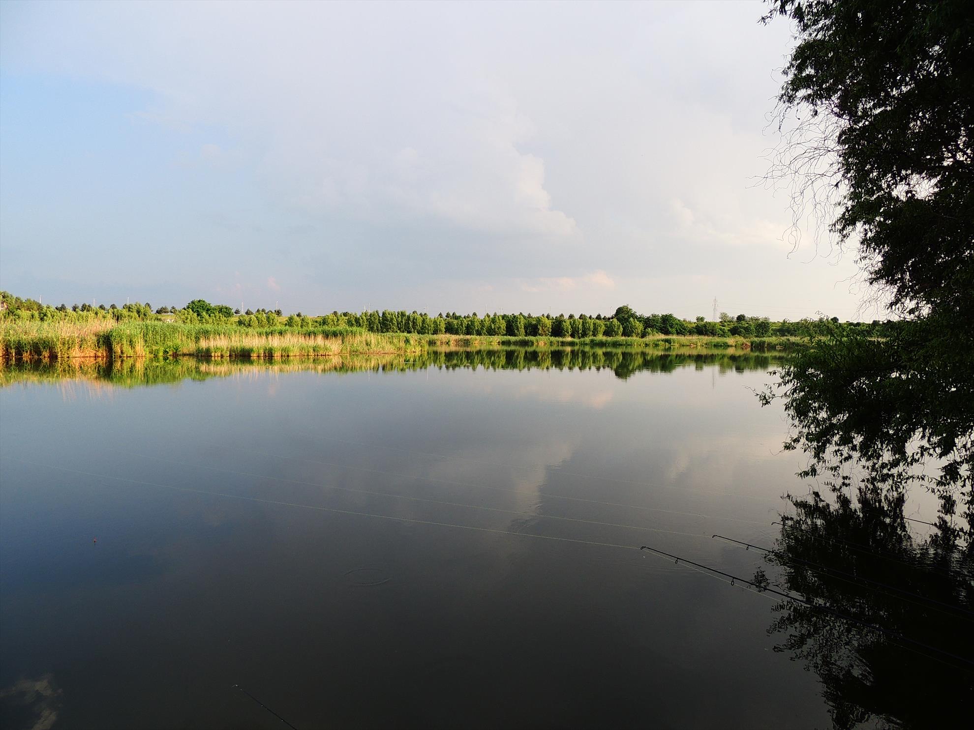 Tancabesti 14 - 16 iunie 2015 - dscn6779.JPG